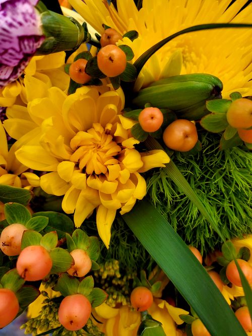 Free Bright yellow flowers and foliage creating a lush, vibrant bouquet arrangement. Stock Photo