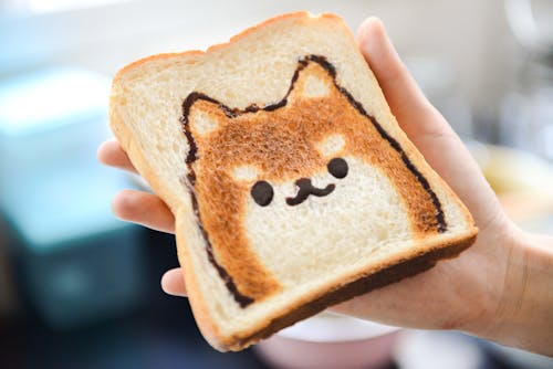 Sepotong Roti Loaf Dengan Wajah Anjing