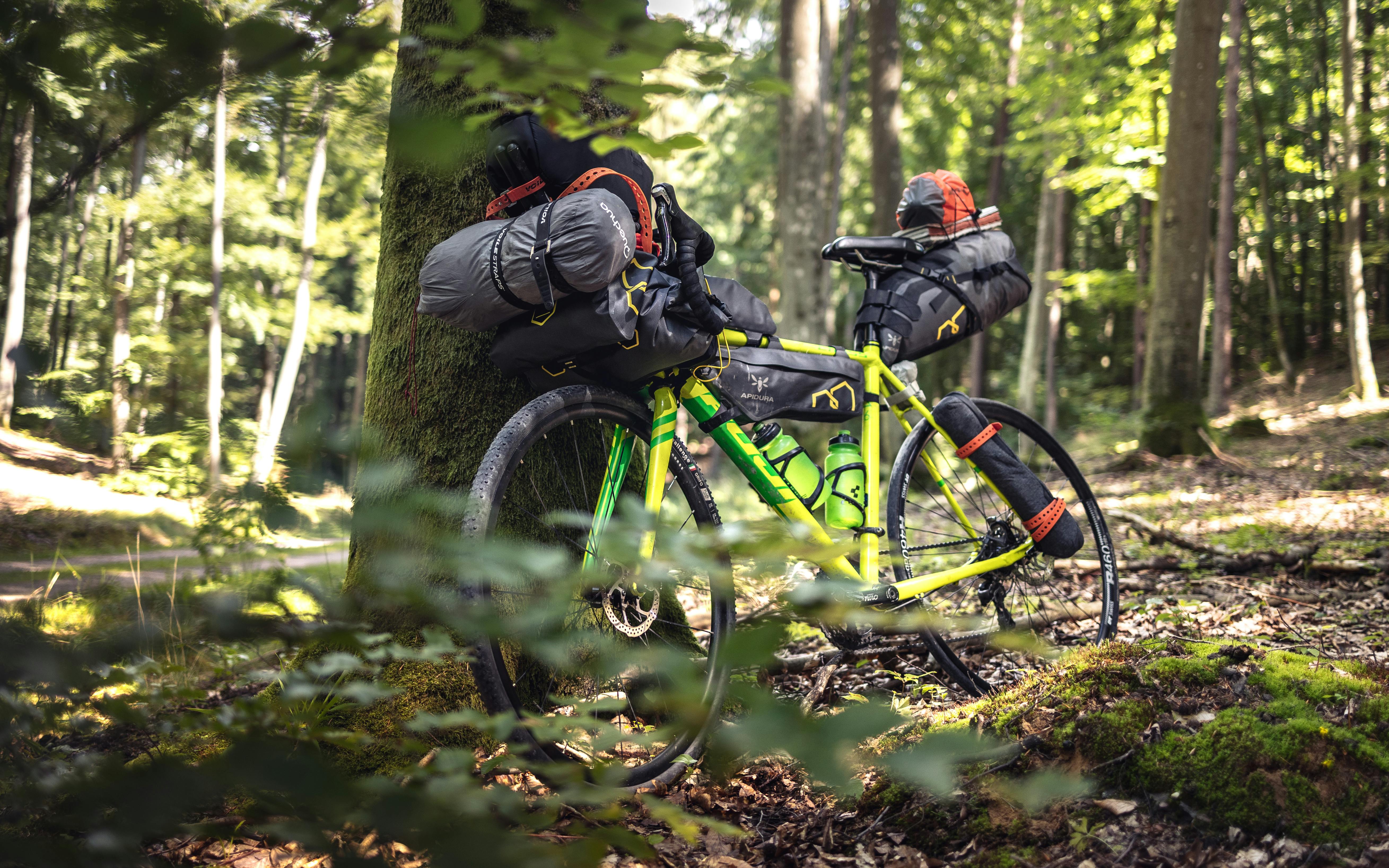 Brightly colored bike with packed gear in lush Polish forest captures the essence of adventure.