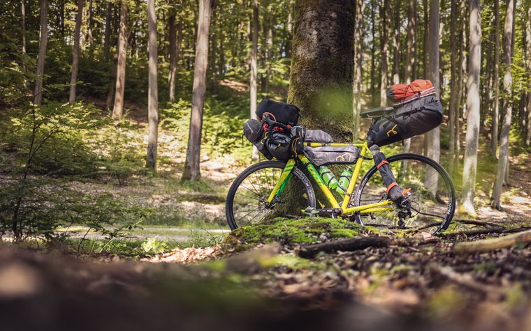 Loaded touring bicycle with a frame bag parked on a forest trail — photo by Marek Piwnicki on Pexels
