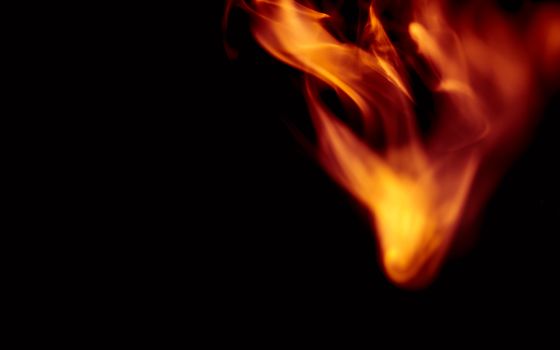 Captivating close-up of vibrant flames dancing against a black backdrop.