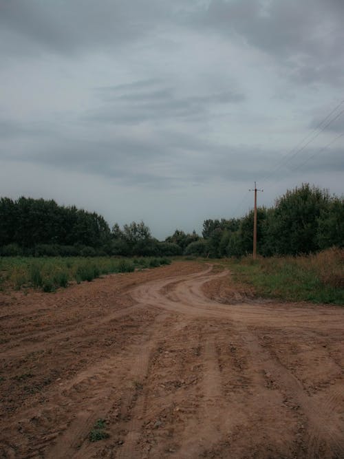 비 포장 된, 비포장 도로, 시골의 무료 스톡 사진
