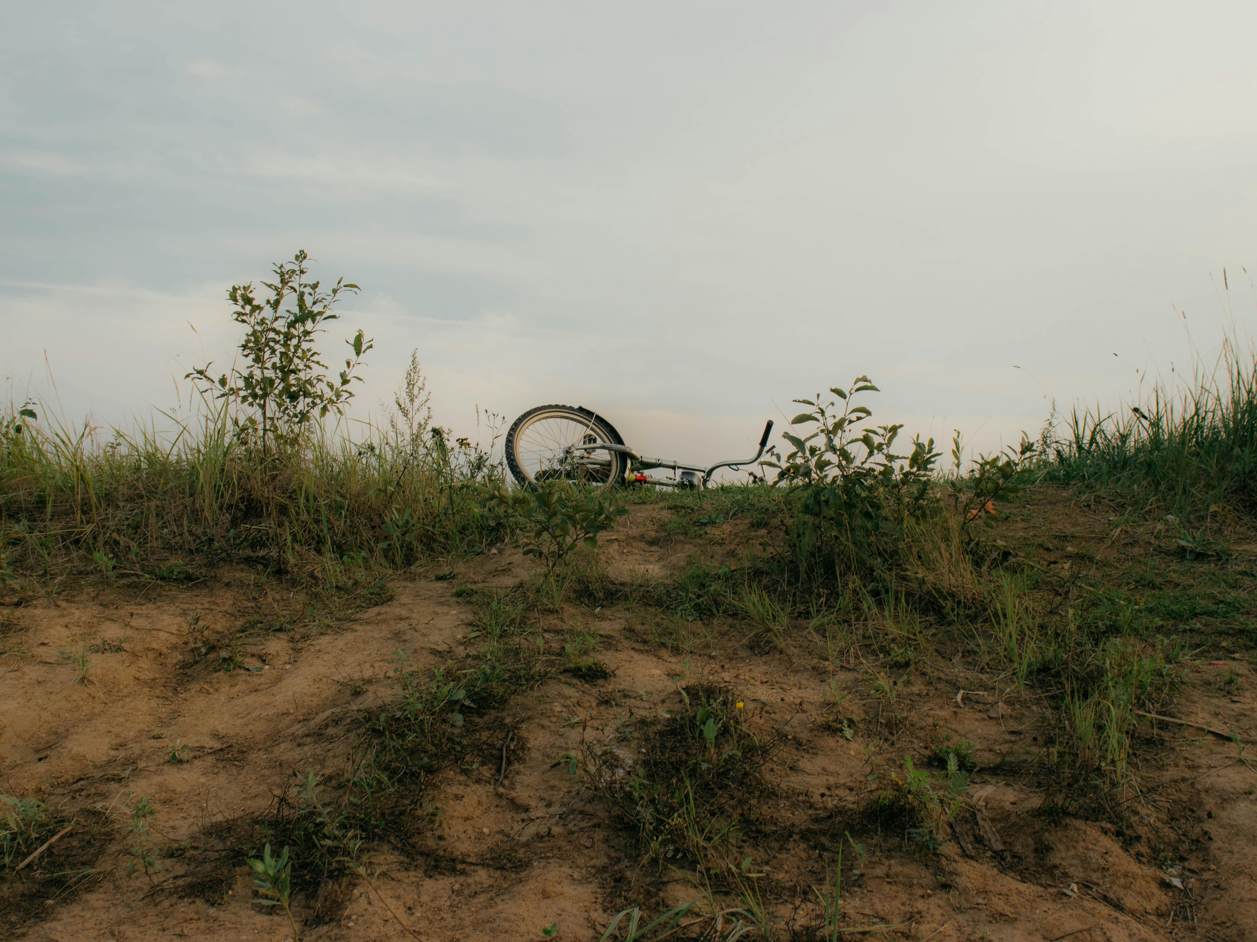 What kills weeds but not grass?