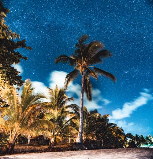Free Vibrant tropical beach scene under a starry night sky in Barra Grande, Brazil. Stock Photo