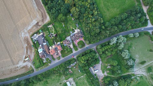 An Aerial Photography of a Road Between Green Trees