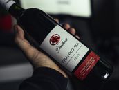 Close-up of a Frankovka 2017 wine bottle held in hand, showcasing elegant design.