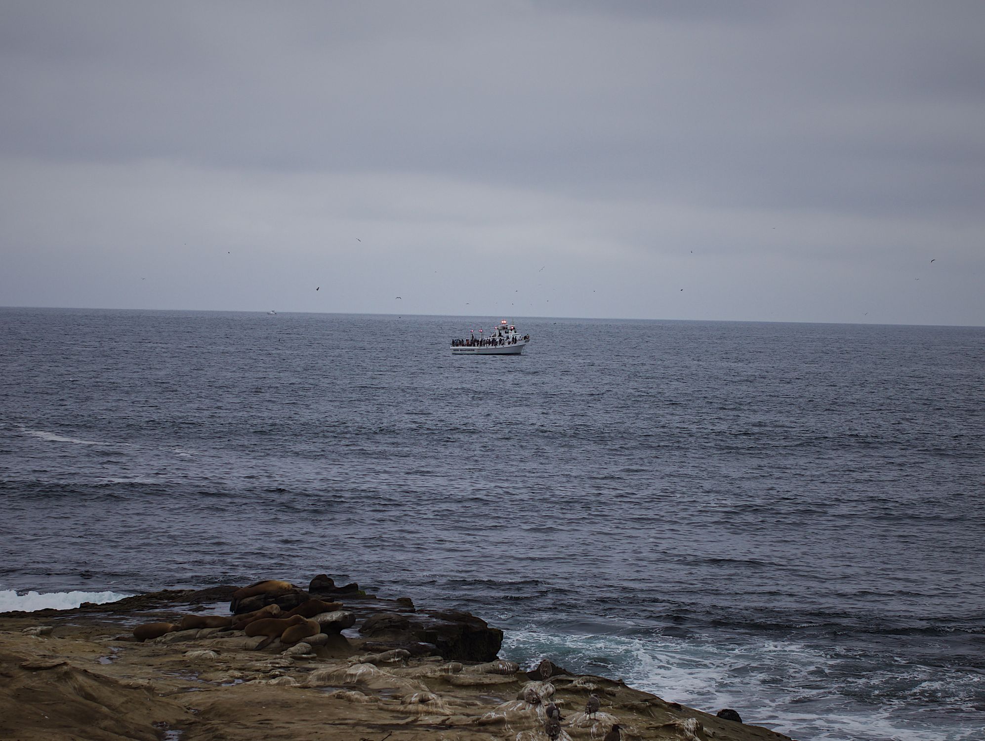 White Boat on Sea under Gloomy Sky · Free Stock Photo