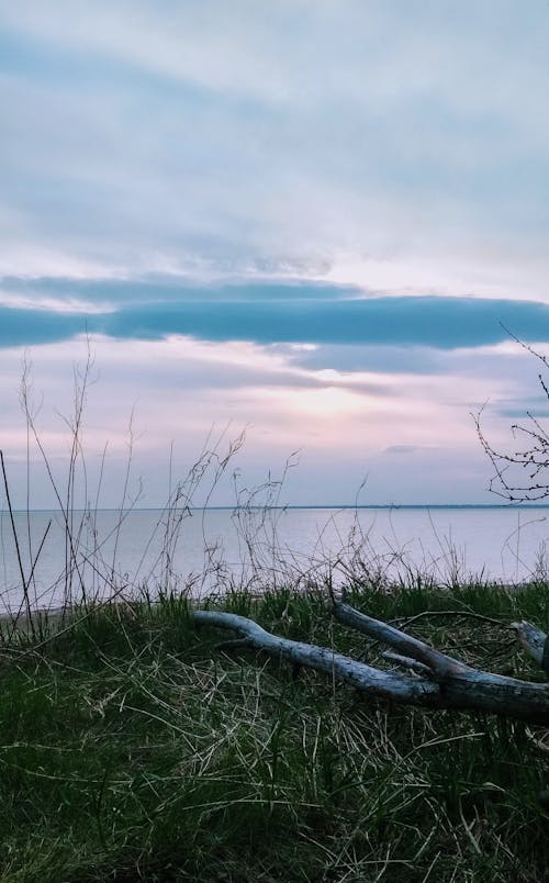 Immagine gratuita di bagnasciuga, cielo, costa