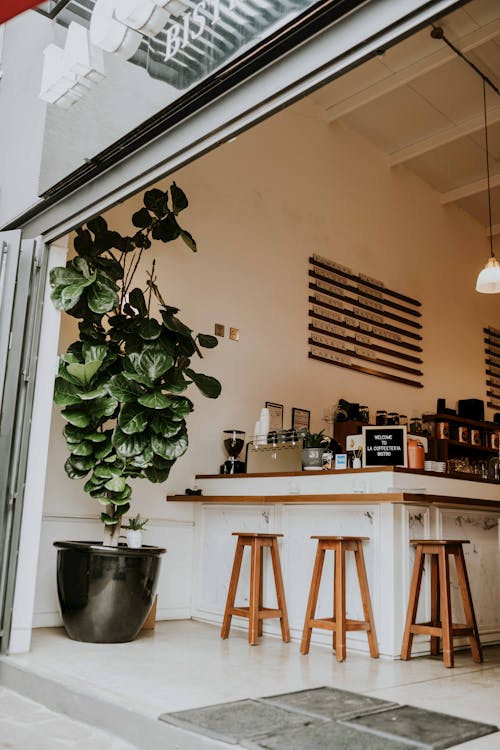 
A Coffee Shop with an Indoor Plant