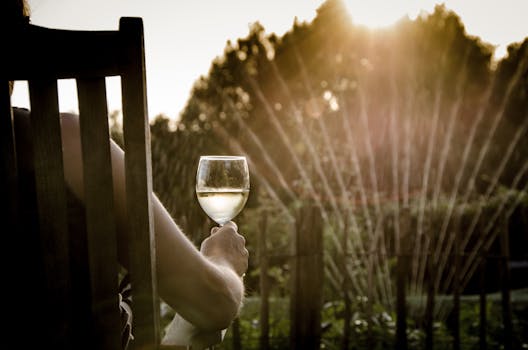 Free stock photo of summer, relaxing, garden, sitting