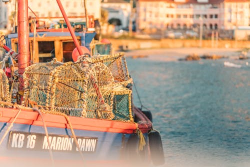 Foto d'estoc gratuïta de barca de pesca, embarcació d'aigua, gàbies