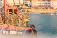 Fish Cages on a Fishing Boat