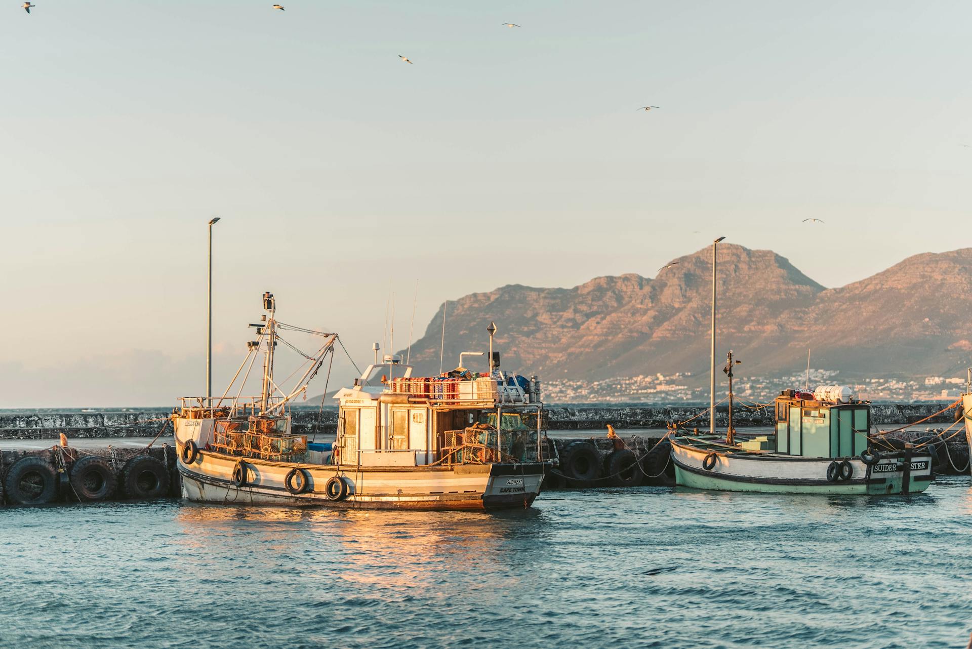 Fishing Boats Moored in the Marina in the Light of the Setting Sun