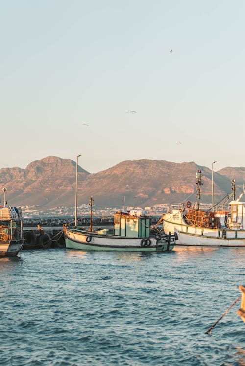 Docked Fishing Boats by the Pier during Dusk