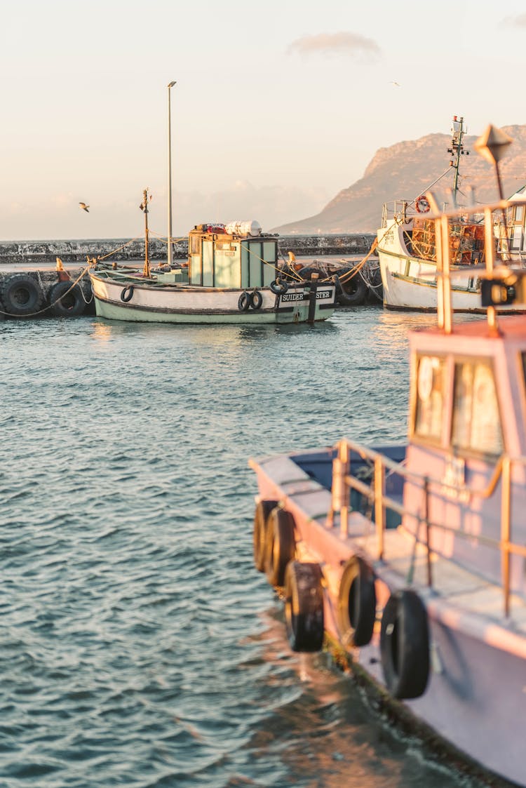 Fishing Boats Docked During Early Morning