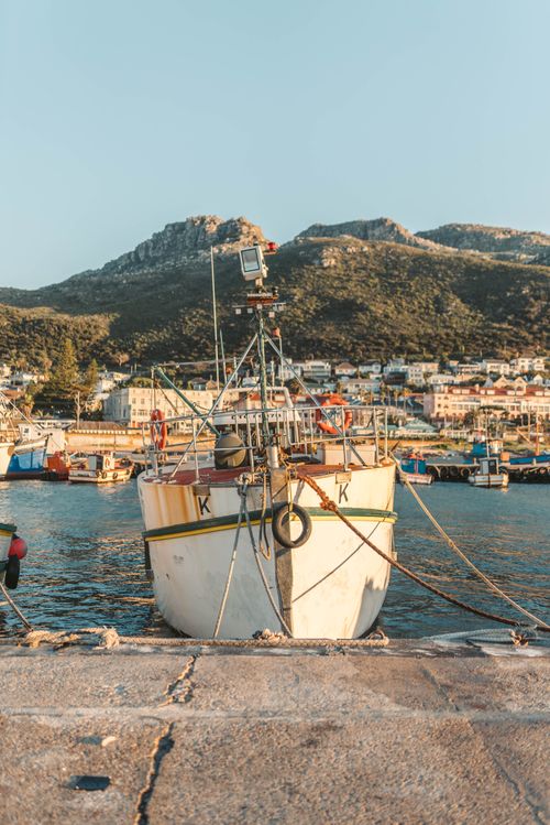 Free A vibrant fishing boat docked at a marina with mountains and cityscape in the background. Stock Photo