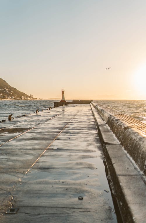 Darmowe zdjęcie z galerii z latarnia morska, molo, port