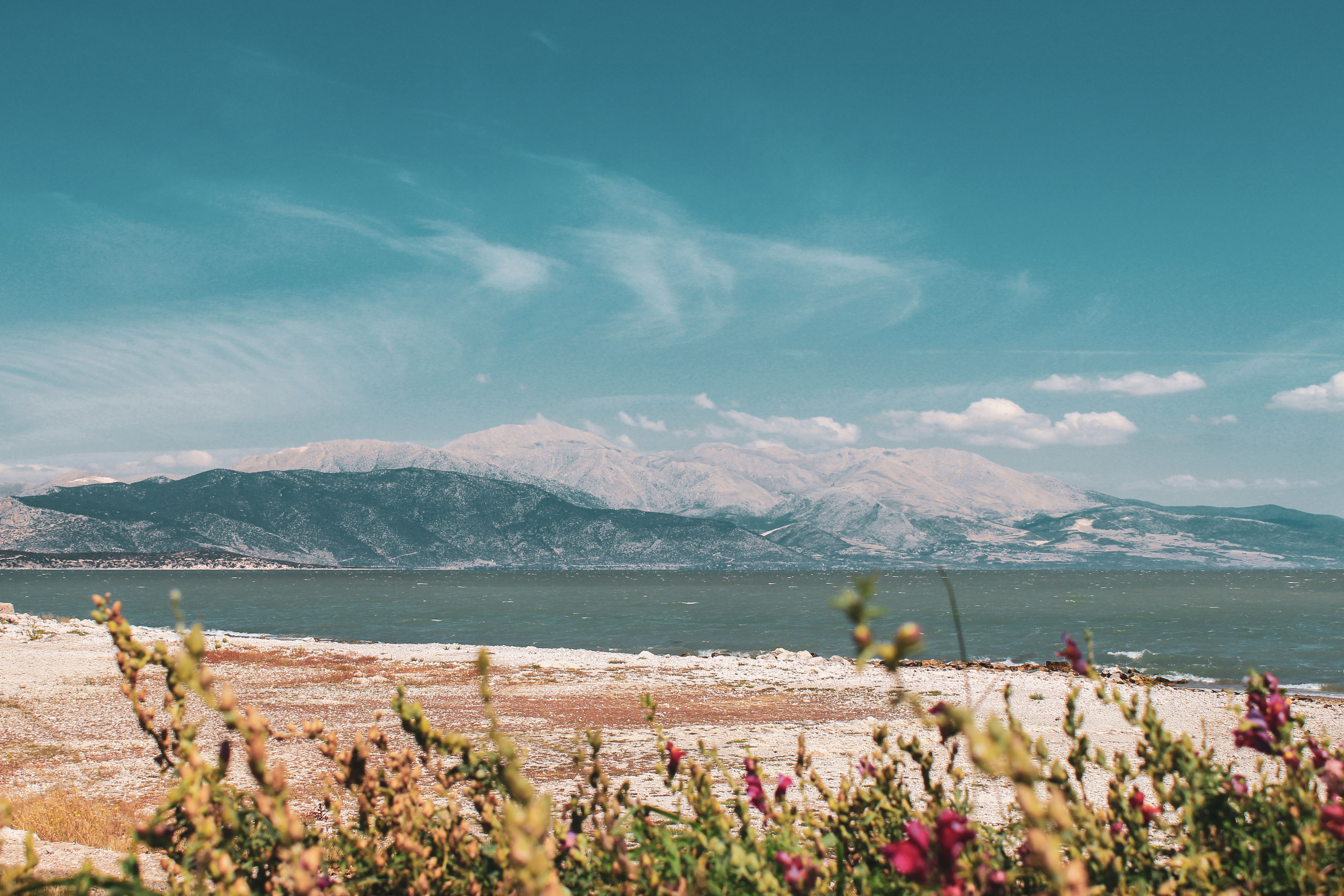 Nea Vrasna · area photo 4