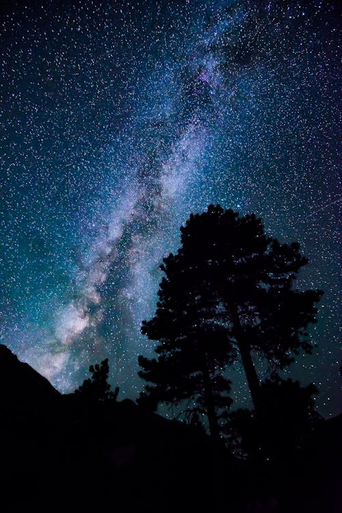 Fotografía De Estrellas En ángulo Bajo