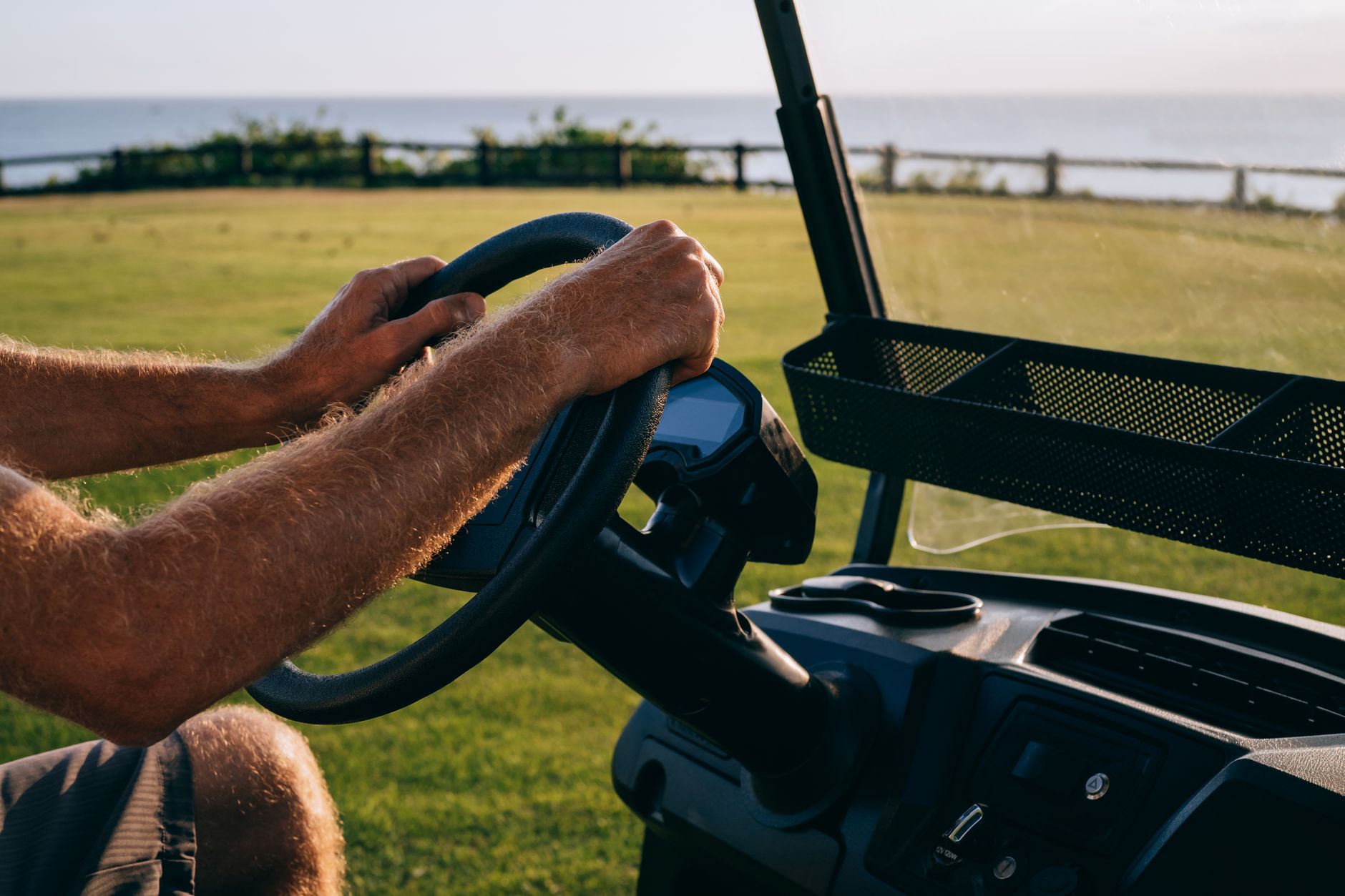 Hands gripping a golf cart steering wheel on a sunny day in a park by the water.