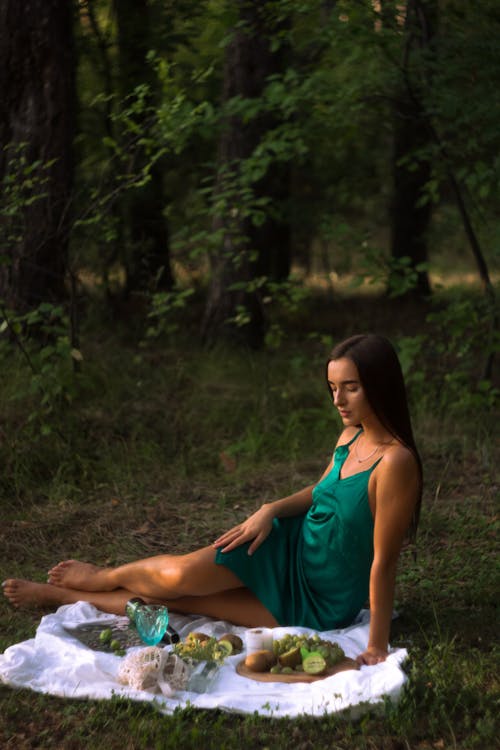 Gratis stockfoto met bomen, buiten, daglicht