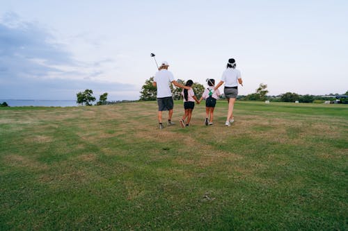 Ingyenes stockfotó Férfi, fű, golf témában