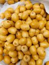 Pile of Baby Potatoes