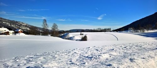 Free Breathtaking winter scene in Hol, Norway with snow-covered fields under a bright sky. Stock Photo