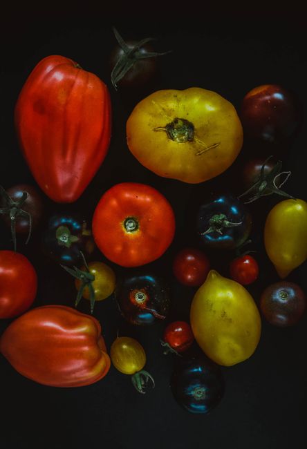 A colorful collection of heirloom tomatoes on a dark background, displaying variety and freshness.