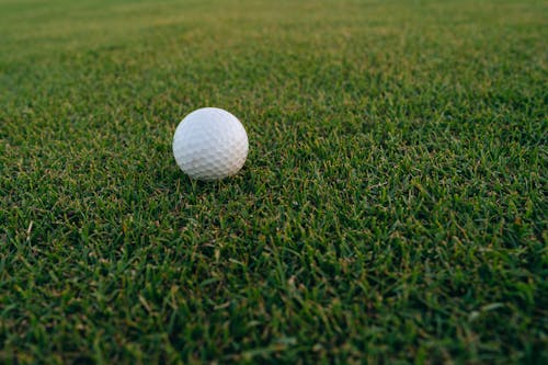 골프 공, 잔디, 확대의 무료 스톡 사진