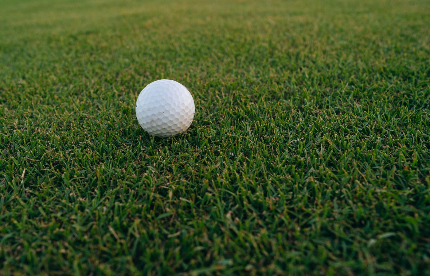 A close-up image of a golf ball resting on vibrant green grass, perfect for sports and recreation themes.