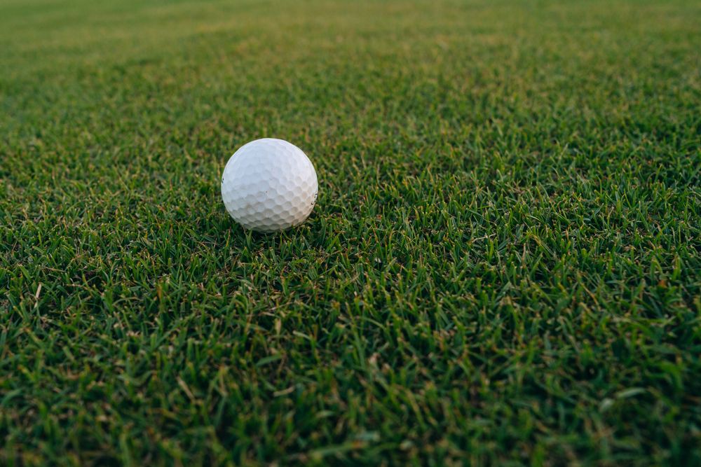 Golf ball resting on short grass