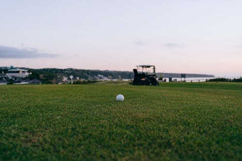 Golf Ball on Green Grass 