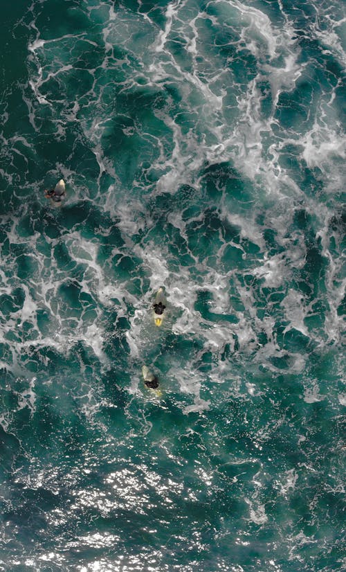 드론으로 찍은 사진, 바다, 서핑의 무료 스톡 사진