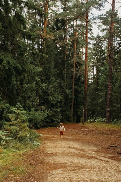 Long Shot of Toddler walking on an Unpaved Pathway near Trees