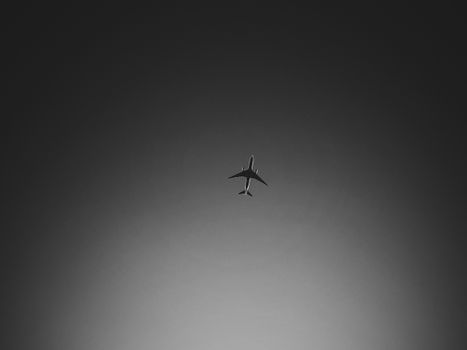 Wallpaper