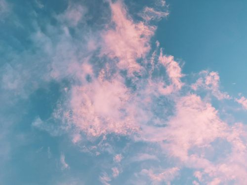 Free Tranquil image of soft pink clouds floating in a soothing blue sky. Stock Photo