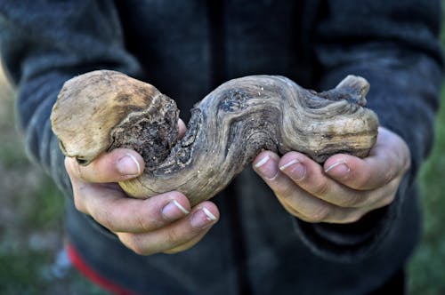 Man Holding Piece of Wood