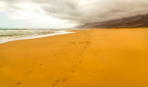 คลังภาพถ่ายฟรี ของ ชายหาด, ทราย, มหาสมุทรแอตแลนติก