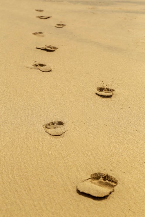 คลังภาพถ่ายฟรี ของ ทราย, รอยเท้า
