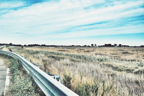 Photo of Road Railing Near Grasses