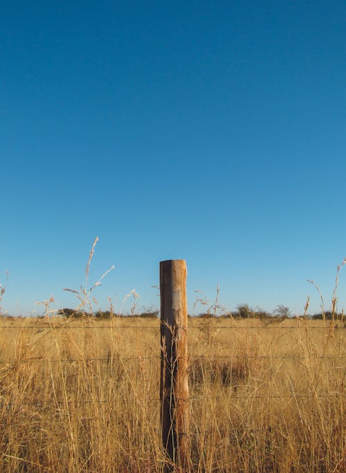 Wire Fence on Grass Field