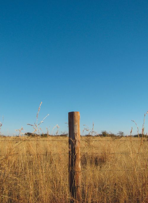 Free A solitary wooden post stands amidst tall brown grass under a clear blue sky. Stock Photo