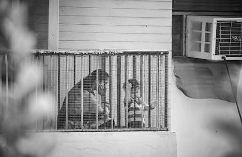 Základová fotografie zdarma na téma černobílý, dítě, jednobarevný