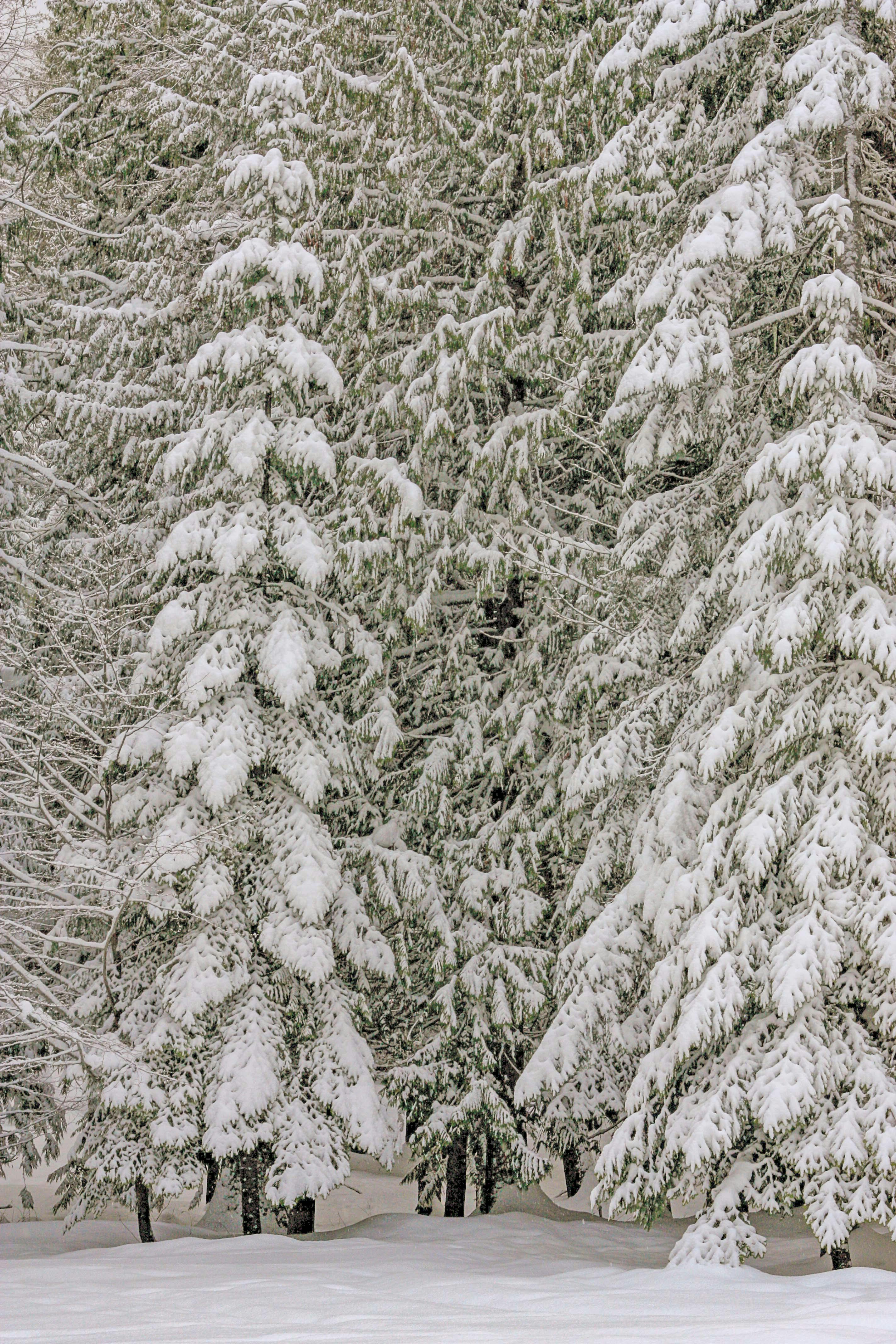 pexels-photo-920935.jpeg?auto=compress&cs=tinysrgb&dpr=1&w=500