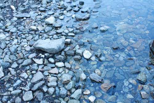 Free stock photo of rocks, stream