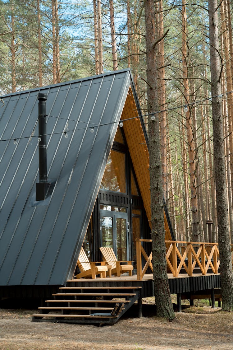 A Modern Cabin In The Woods