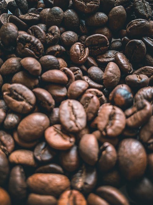 Close-Up Shot of Roasted Coffee Beans 