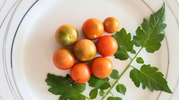 Overhead Shot of Tomatoes on a Plate