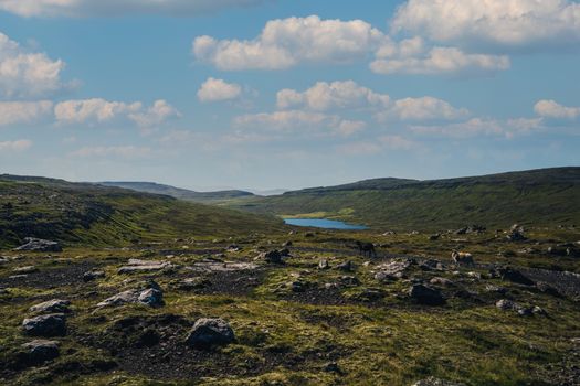 Idyllic view of verdant terrain under a blue sky with scattered clouds, perfect for nature photography.